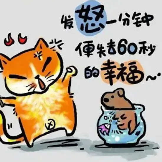 贵港网站推广